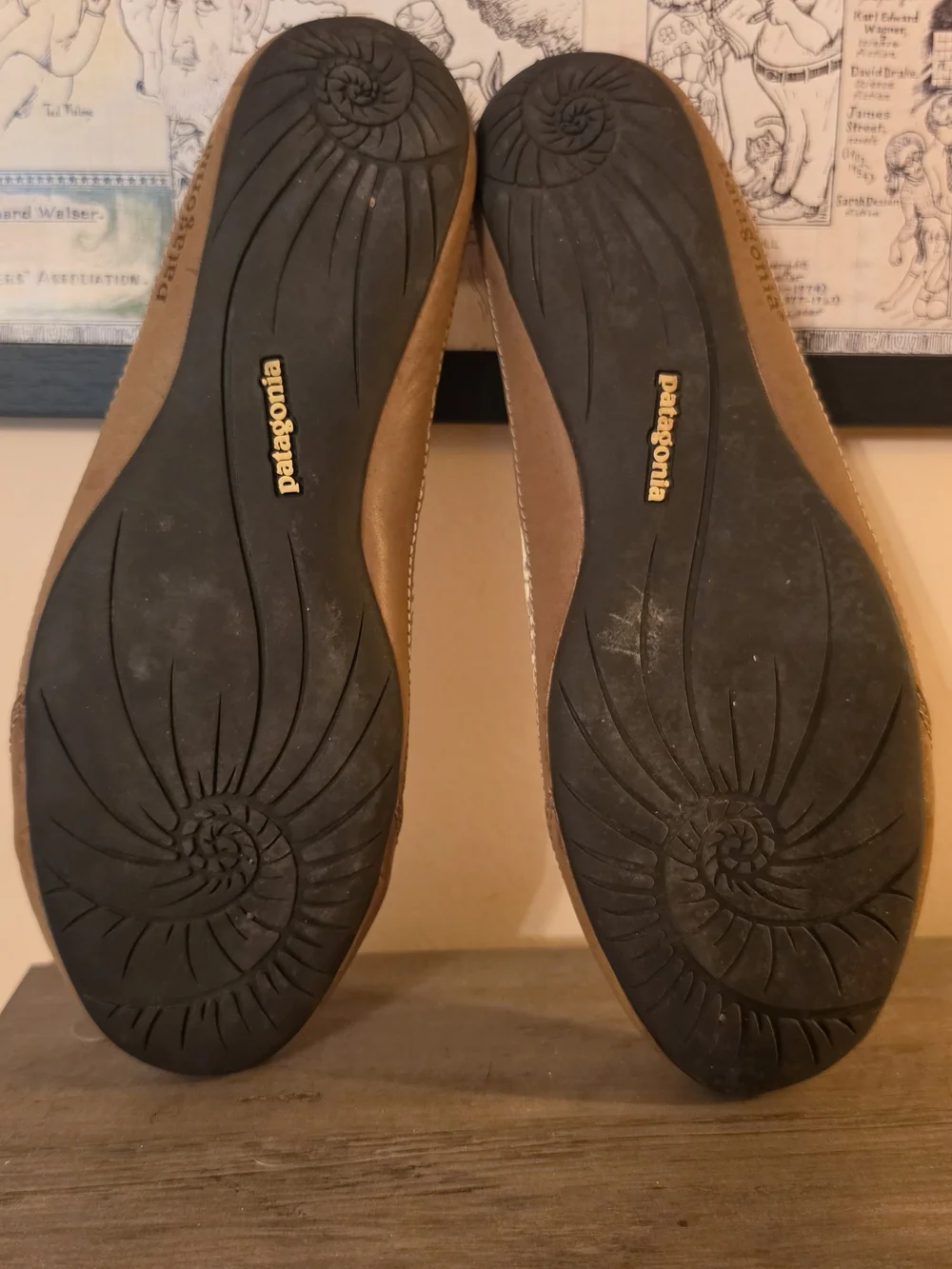 Patagonia Tan and Cream Patterned Women's Ballet Flats